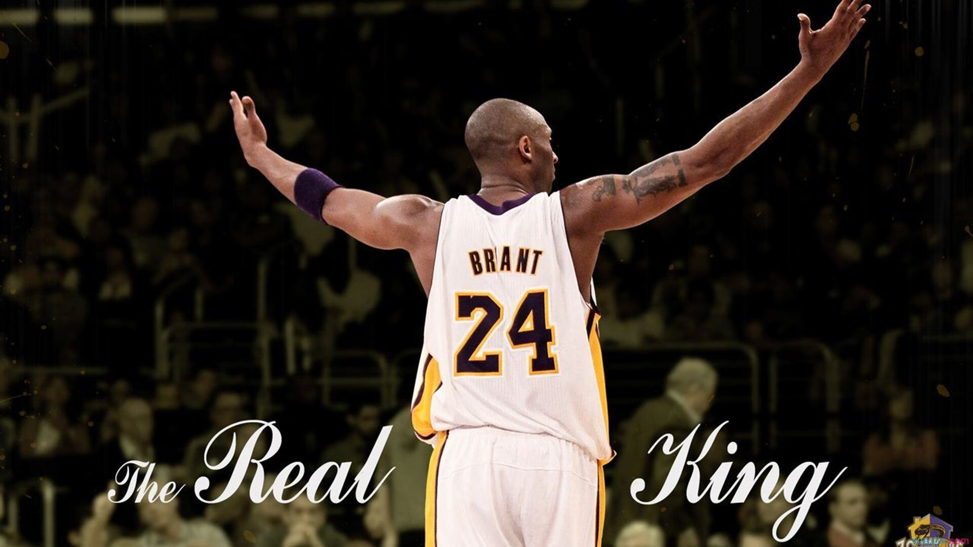 速度与激情，F1新赛季揭幕战焦点战，苏格兰强势晋级加纳