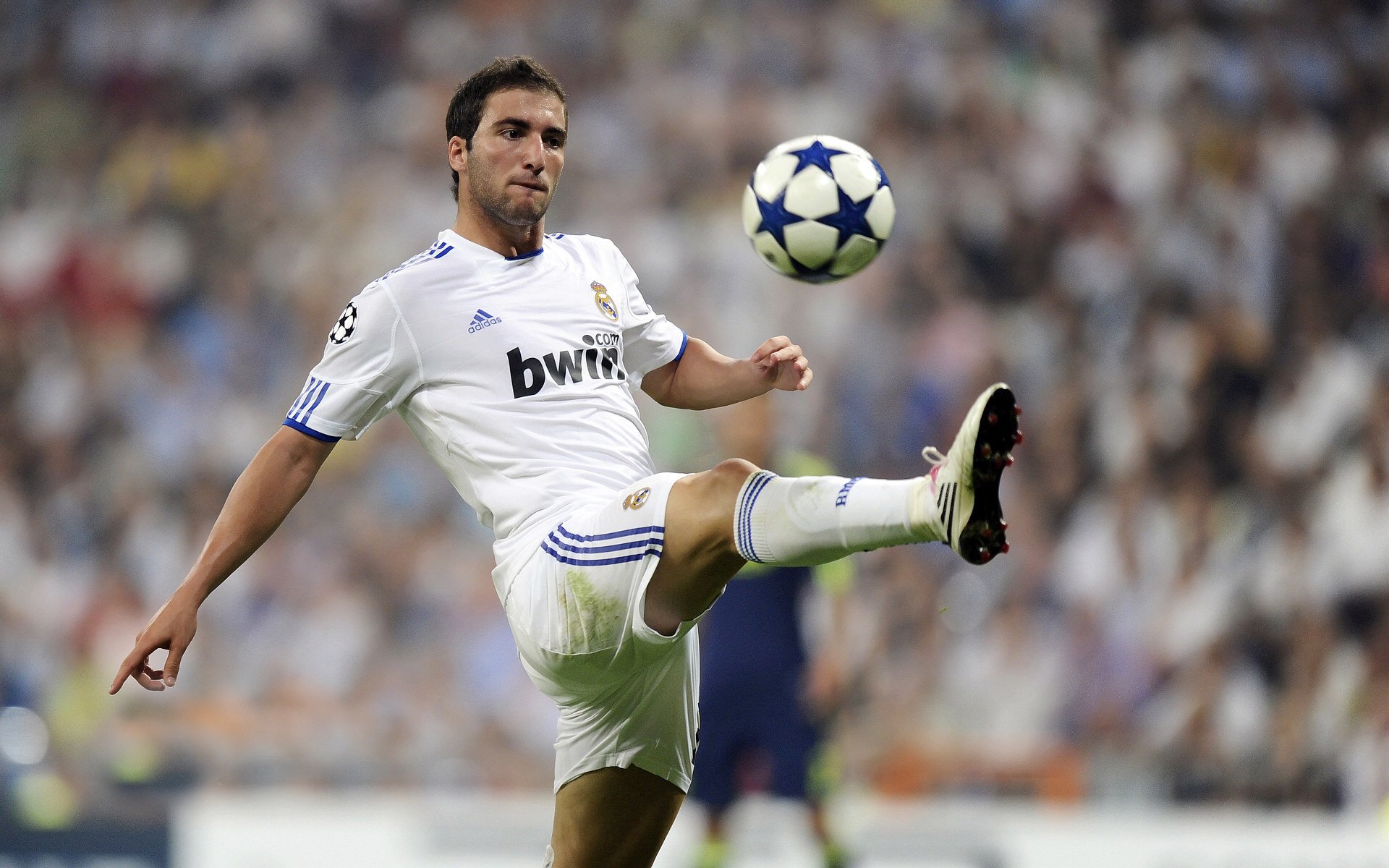 拉梅洛冠军级表现闪耀北岸花园，凯尔特人鏖战森林狼捍卫主场