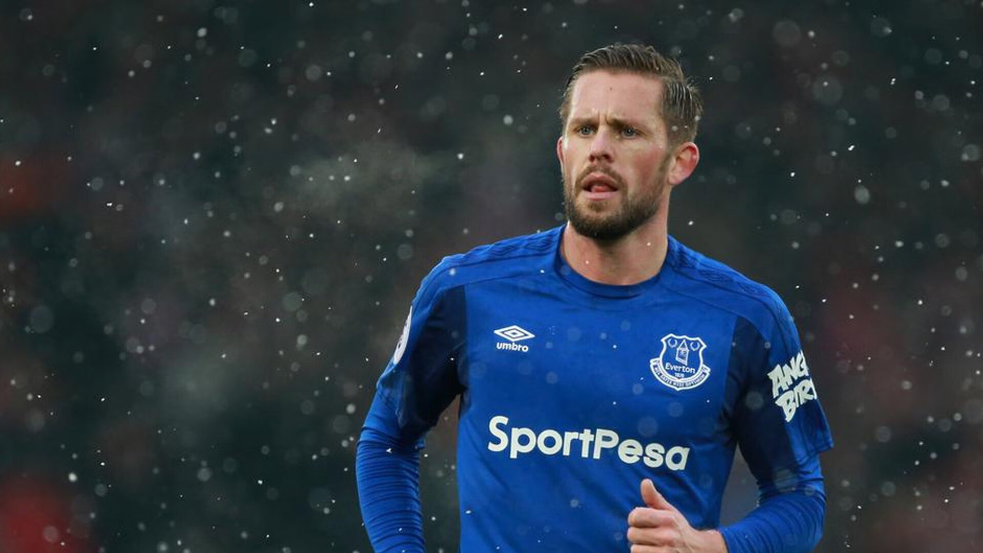 福克斯点燃赛场，国王稳稳拿下骑士